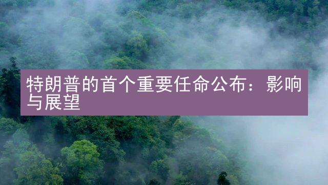 特朗普的首个重要任命公布：影响与展望